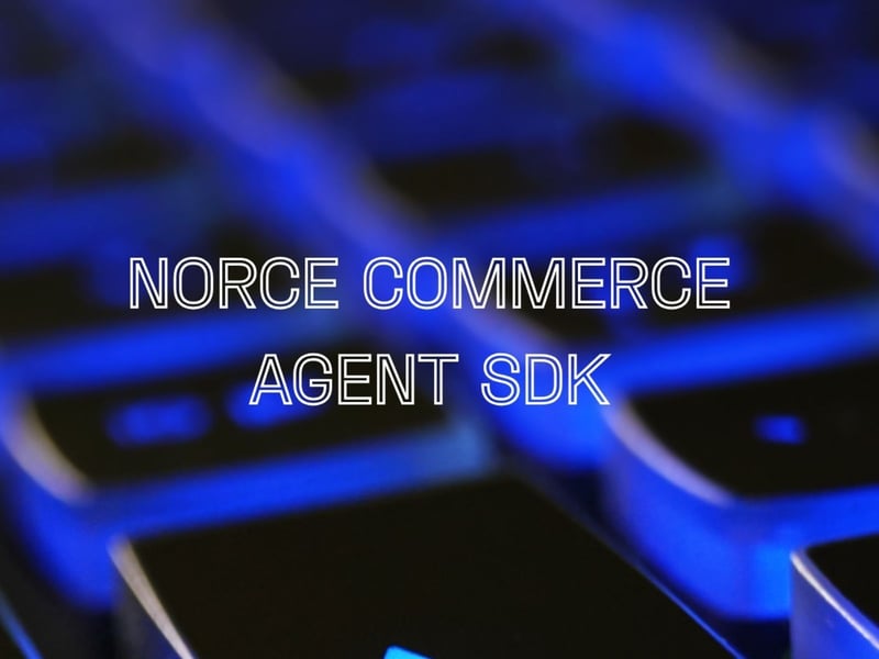 Checkout and payments (1)