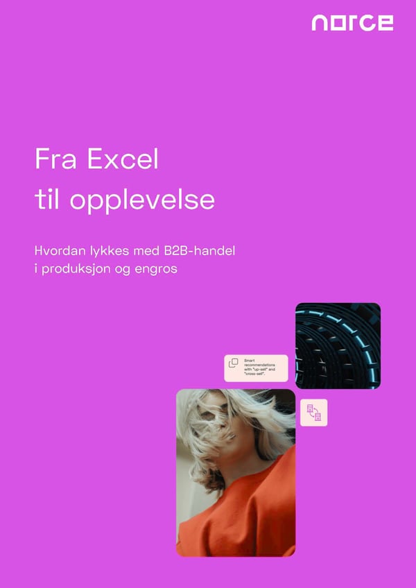 Fra Excel til opplevelse