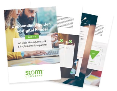 Ladda ner del 3 av upphandlingsguiden för digital handel