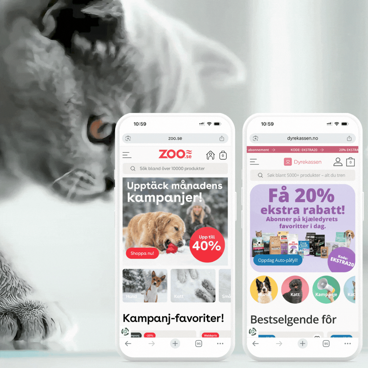 Mockups mobildesktop Pet Paw Group (1)