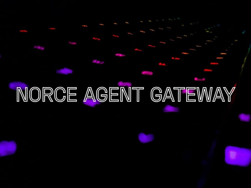 Norce Agent Gateway (3)