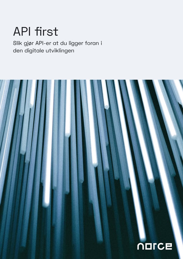 NO-Ebook-APIfirst-OMSLAG