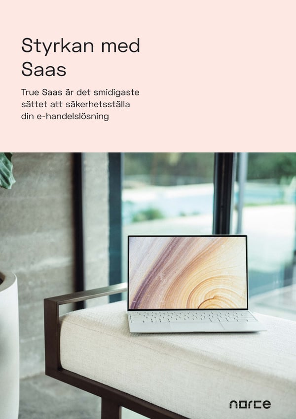 SE-SV-Ebook-SaaS-Guide-OMSLAG